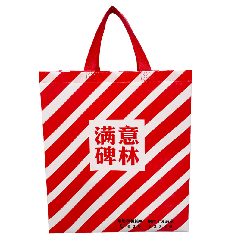 政务宣传袋.jpg